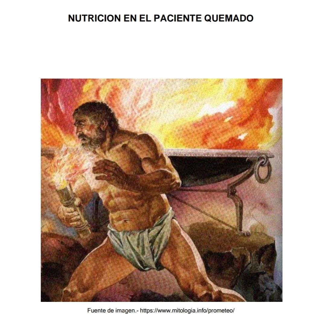 Nutrición en el paciente quemado